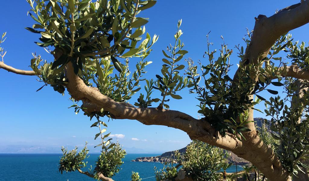 Il Casale San Vito Apartamento San Vito Lo Capo Exterior foto